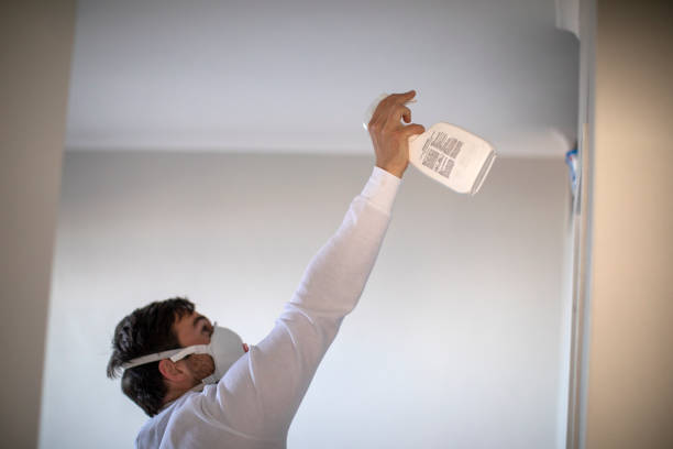 Attic Mold Removal in Concordia, KS