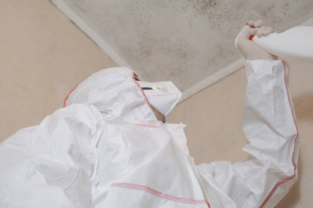 Best Emergency Mold Removal  in Concordia, KS