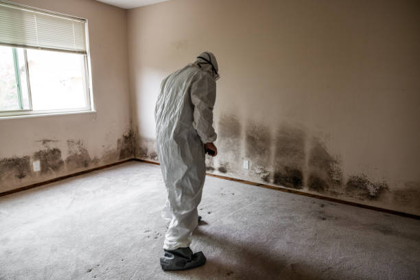 Best Crawl Space Mold Removal  in Concordia, KS